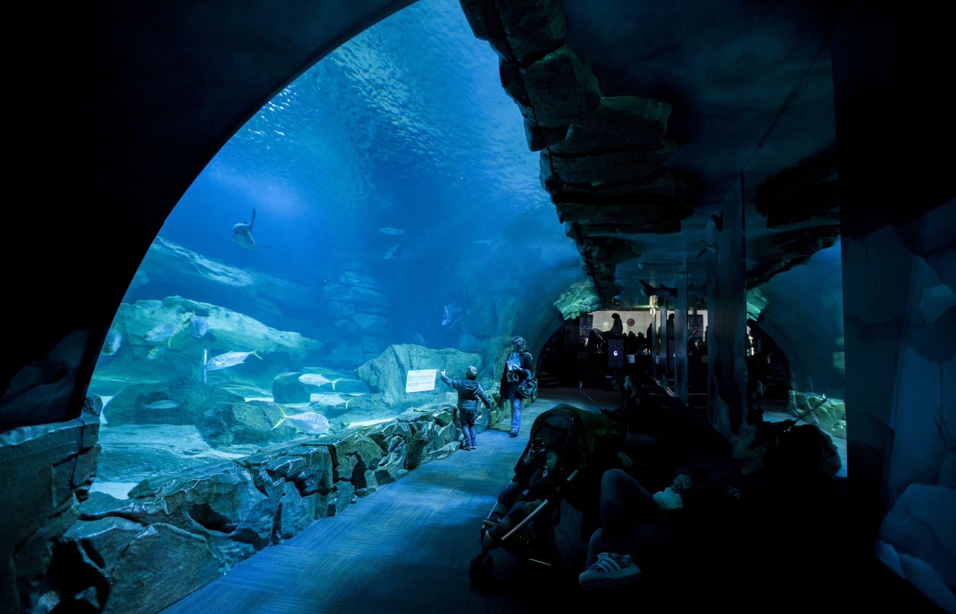 The Paris Pass: Save up to 50% on Attractions - image 22
